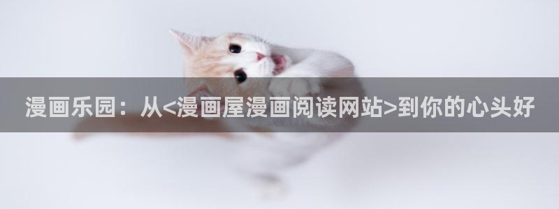 漫漫漫画漫画分类