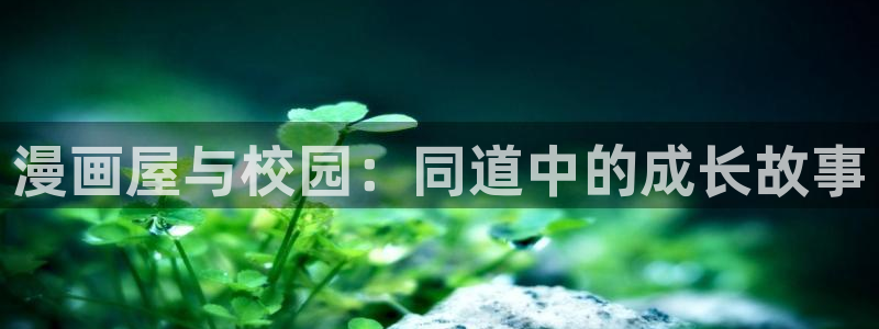 漫漫漫画在线